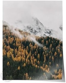 Resim Postifull Çerçevesiz Poster Orman No:42, Fotoğraf Baskısı, Salon, Mutfak, Oturma Odası, Hol Duvar Dekoru Poste;50 X 70 Renkli - 24 