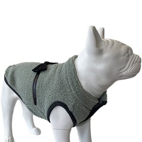 Resim Yumuşak Polarlı Papyonlu Yeşil Köpek Kıyafeti - S 
