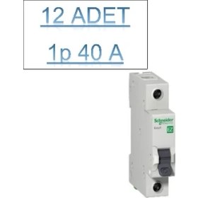 Resim Schneider 12 Adet 40AMPER Otomatik Sigorta Schneider C Tipi 