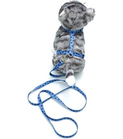 Resim Kedi Patili Göğüs Tasması Ve Gezdirme Seti Ps9646 