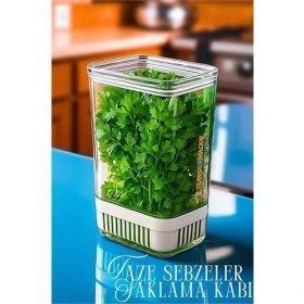 Resim Nuveden Ieg™ Hsnet Yeşillik Saklama Kabı - Taze Yeşillik Için - Soğan Maydanoz Vb Yeşillik Saklama 