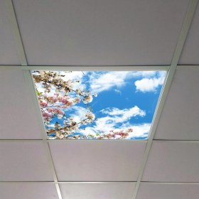 Resim Gök Panel 60X60 LED Panel Aydınlatma Armatür Avize Sıva Altı Desenli Tekli 46510453SA 