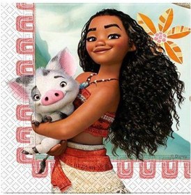 Resim Peçete Muhtelif 