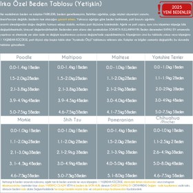 Resim PAWROTECTOR SUN Yazlık File Köpek Ayakkabısı (4'lü set) - Siyah / 2 