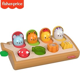 Resim Fisher Price Sürprizli Arkadaşlar GJW24 