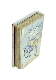 Resim Kutu Kitap Aynalı Bisiklet Dekoratif Hediyelik 