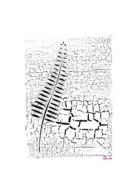 Resim Cadence Ma89 Mix Media Stencil 