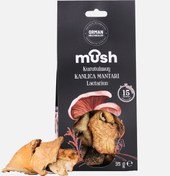 Resim Kurutulmuş Kanlıca Mantarı (35 g) 