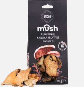 Resim Kurutulmuş Kanlıca Mantarı (35 g) 