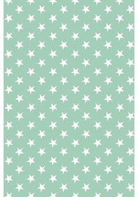 Resim Premier Home Yıldız Desenli Fon Perde Mint 170X270 (472220920) 