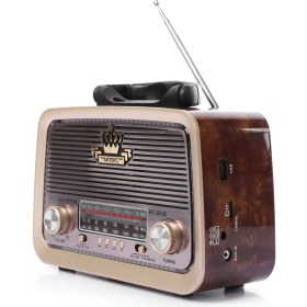 Resim Everton wellpower RT-301 El Fenerli Taşınabilir Nostaljik Radyo Hoparlör USB Tf Aux Destekli 