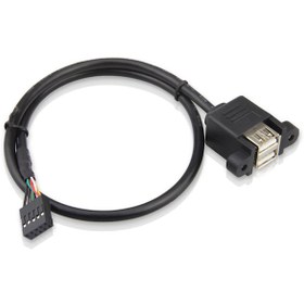 Resim 9 Pin Usb To 2X Usb A Dişi Panel Tipi Kablo - 20Cm 