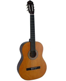 Resim Lichtenberg Cg836 Gy Klasik Gitar Taşıma Çantalı 