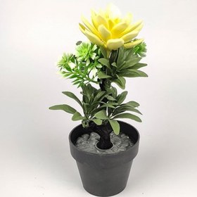 Resim Gelincik Dekor Saksıda Yapay Lotus Çiçeği Sarı 
