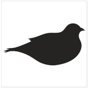 Resim Kuş Folyo Sticker Derstv923 50cm Uzunluk Siyah 