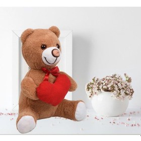 Resim Sevdiklerinize Özel Kalp Tutan. Şirin Peluş Ayıcık - 30 Cm Beyaz 