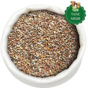 Resim 10 Kg Tane Mısır Tavuk, Güvercin, Kaz Ve Kümes Hayvanlarına Uygun 