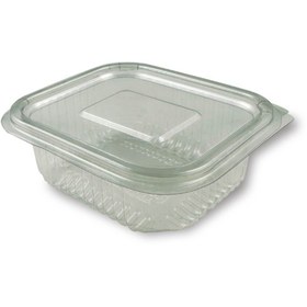 Resim Home 100 Adet plastik sızdırmaz kap 250 gr cc kullan at tek kullanımlık plastik kapaklı kase 