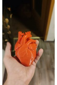 Resim shop Anatomik Kalp Modeli - 3D Baskı Eğitim ve Dekorasyon Ürünü 