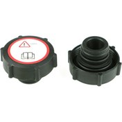 Resim RAPRO R66128 Genlesme Sisesi Kapagi (Ford: Mondeo I-II-III Transit IV -06) 1000249 (WC129173) 