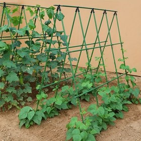 Resim 180,34 cm x 180,34 cm Büyük Metal Bahçe Bitki Destek Direği, 70 Adet, PET Kaplamalı Çelik Çekirdekli, Paslanmaz, Kolay Yerleştirme, Sebze Yatakları, Çiftlik Bahçeleri, Asma Bitkiler ve Meyve Desteği için Uygun (0,81 cm/1,12 cm/1,6 cm/2,01 cm Çap Seçenekleri) 