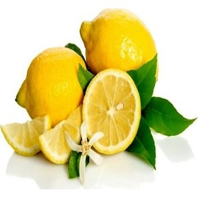 Resim Tüplü Aşılı Lezzetli Enter Limon Fidanı 