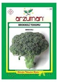 Resim 1 Paket Tohum Nadir Yeşil Brokoli Tohumu Organik 