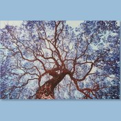 Resim Q-Art Dekoratif Blue Ivy Kanvas Tablo - 90x60 cm 