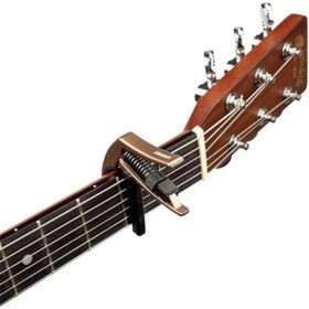 Resim AyrStore D 'Addario pw cp 10mbr NS Sanatçı, Metalik Bronz 