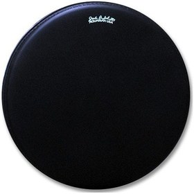 Resim Aquarian Jd16 16 İnç Jack De Johnette Tom Derisi 