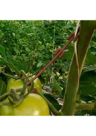 Resim Salkım Tutucu( J Baston ) Destek Renkli 1000 Adetli 