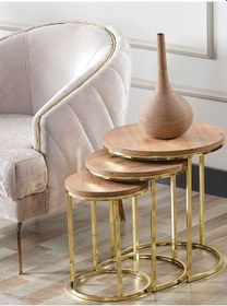 Resim 3' Lü Açık Ceviz Ahşap Gold Metal Sehpa 