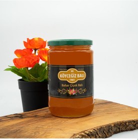 Resim Köyceğiz Balı Bahar Çiçek Balı Cam Kavanoz 850 G 