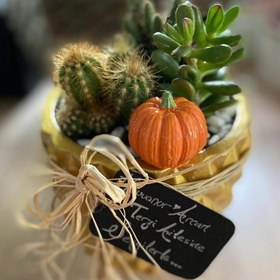 Resim El Yapımı Saksı Süsleri - Kabak 