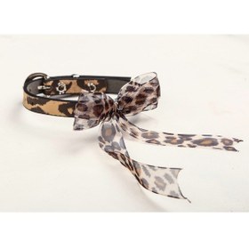 Resim Leopar Tüllü Fiyonklu Leopar Derili Metal Tokali Kedi Tasması 