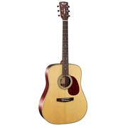 Resim Cort EARTH100NS Akustik Gitar 