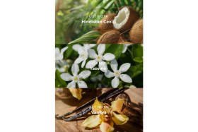 Resim Nulu Hypnotic Vanilla Kadın Parfüm EDT 100ML 