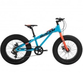 Resim Limit 20 Çocuk Bisikleti Fat Bike (mavi-kırmızı) 30 