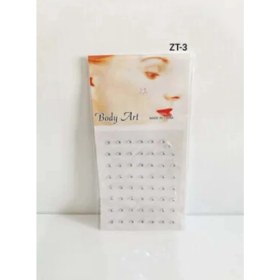 Resim Tirnak ve Yüz Taşi Zt-3 | 1 adet 