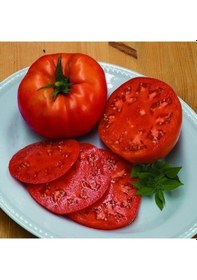 Resim Sırık Beef F1 Kahvaltılık Etli Domates Tohumu 10 Tohum 