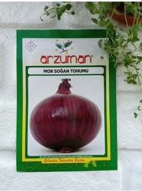 Resim Mor Soğan Tohumu 1 Paket 5 GR Soğan Tohumu Sebze Tohumu N117137 