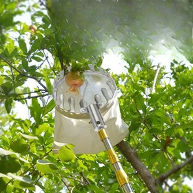 Resim 300 cm / 118 inç Yumuşak Dolgulu Sepetli Teleskopik Meyve Toplama Aracı - Yüksek Dallar için Ağır Hizmet Tipi Metal Uzatılabilir Direk, Güvenli ve Nazik Hasat için Ergonomik Sap - Bahçe ve Bağ Kullanımı, Meyve Toplayıcı 