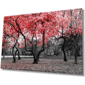 Resim Miyrem Glasses Collection -a1^ Kırmızı Ağaçlar Doğa Cam Tablocam Tablo 