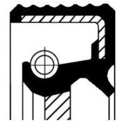 Resim 19036722b Eksantrık Mıl Kecesı 45 56,4 7 Ford: Tourneo Connect / Grand Tourneo Connect V408 Mpv 1.6 4m5g6k292cb 