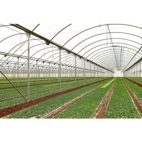 Resim 36 Aylık Sera Naylonu 350 Mikron En 10 M. - Boy 4 M. Kalın Sera Örtüsü Brandası Uv - Eva Katkılı 