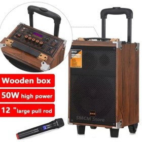 Resim Ultratekno B-Q12 50 Watt Süper Bass Kumandalı Taşınabilir Kablosuz Mikrofonlu Bluetooth Hoparlör Karaoke Sistemi 