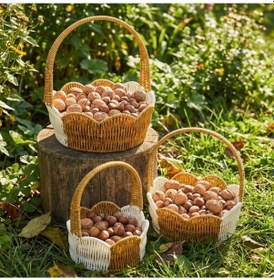 Resim Buffer İç İçe Geçebilen 3 Lü Çift Renkli Yuvarlak Dalgalı Formlu Saplı Plastik Rattan Sepet Seti Hasır Görünümlü Çok Kahverengi 