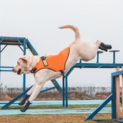 Resim 4 adet Yumuşak Kauçuk Köpek Ayakkabısı Nefes Alabilen Rahat Köpek Ayak Kapakları Açık Hava Malzemeleri için 