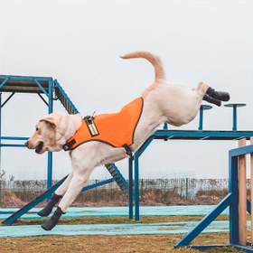Resim 4 adet Yumuşak Kauçuk Köpek Ayakkabısı Nefes Alabilen Rahat Köpek Ayak Kapakları Açık Hava Malzemeleri için 