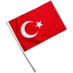 Resim Türk Bayrağı Sopalı 30x45 Raşel Standart 